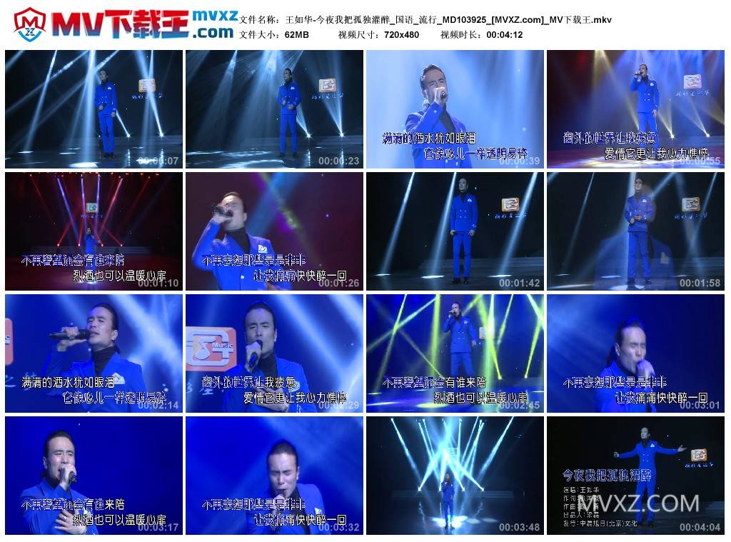 王如华-今夜我把孤独灌醉_国语_流行_MD103925